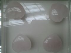 android_upload_pic-中华赏石园