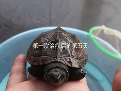 -邦泰·异宠动物医院