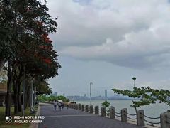 -深圳湾公园(南山区)