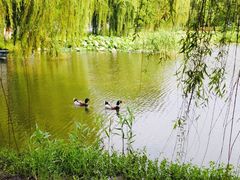 -苏州大学(天赐庄校区)