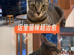 -PUZZLE COFFEE 拼图咖啡