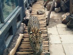 -昆明动物园