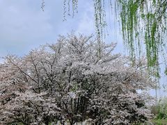 -堤角公园