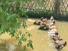 -宁波杭州湾国家湿地公园