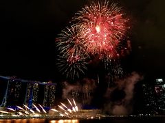 -新加坡文华东方酒店