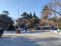 -三元梅园(团结湖店)