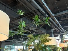 -魔方城市书房(中街益田店)