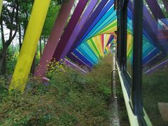 -合肥滨湖国家森林公园