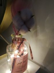 -归真美学颜究中心