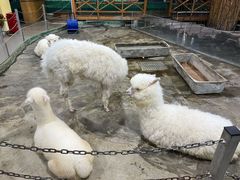 -上海大自然野生昆虫馆(东方明珠·爬宠昆虫探索中心)