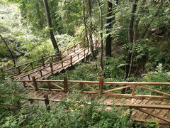-大岭沟猕猴桃谷风景区