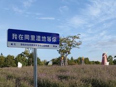 -同里国家湿地公园
