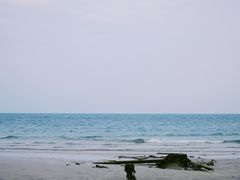 -贝壳沙滩