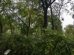 -西湖风景区-江洋畈生态公园