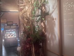 -觅唐MITONG(鸟巢店)
