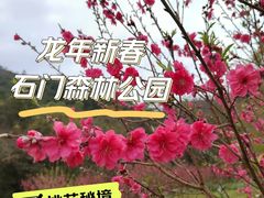 -广州市石门国家森林公园