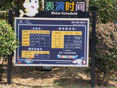 -海合安武汉极地海洋公园