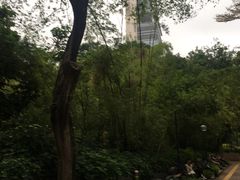 -九龙公园