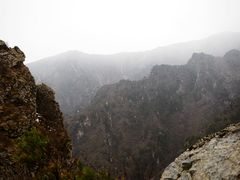 -牛背梁国家森林公园