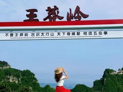 -王莽岭风景区