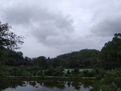 -满記土窑烧鷄波浪山莊