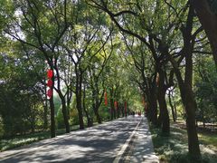 -东湖落雁景区