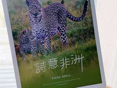 -好利来(团结湖店)