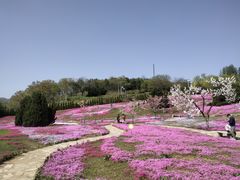 -棒棰岛宾馆景区