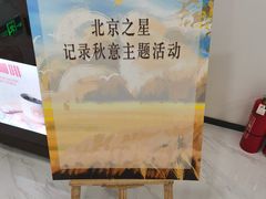 -北京之星奔驰4S店(亦庄店)