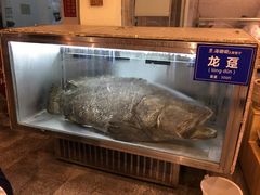 大堂-御唐府海珊瑚主题餐厅