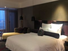 -南京禄口机场雅高铂尔曼大酒店