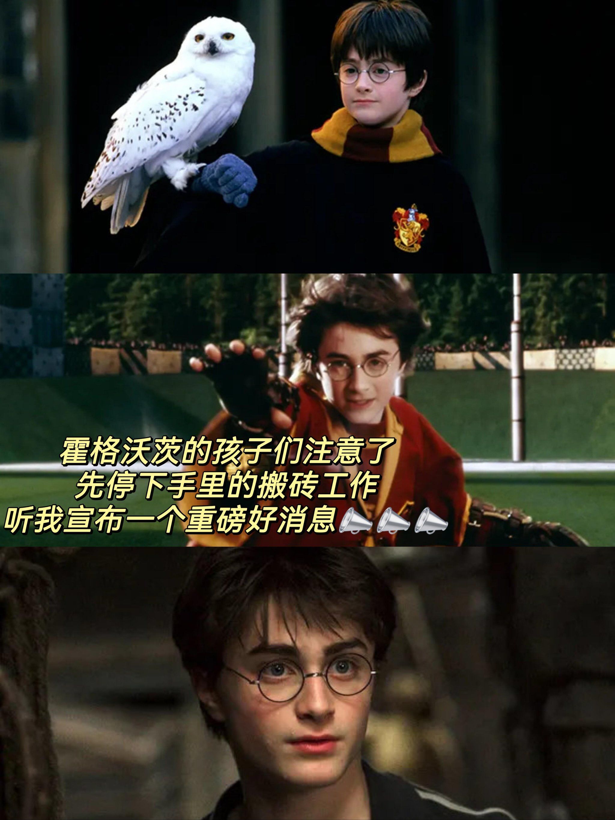 什么?你怎么知道我要去霍格沃茨上学啦!