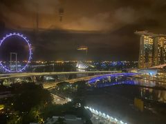 -新加坡文华东方酒店