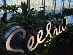 -Seesaw Coffee(朝阳大悦城店)