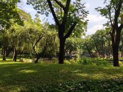 -晓港公园