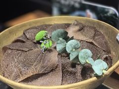 -巴奴毛肚火锅(广益哥伦布店)