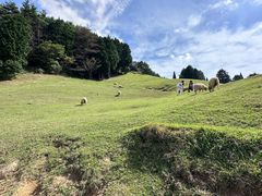 -神户市立六甲山牧场