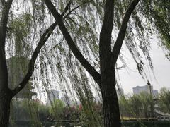 -西安汉城湖景区