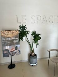 -乐室LE SPACE·美学疗愈空间