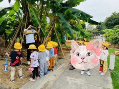 -加蒙特森林幼儿园(广州市增城区店)