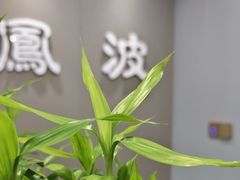 -田凤波推拿.按摩养生(幸福店)