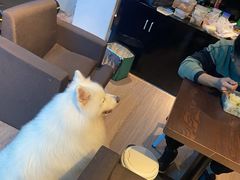 -RoMan罗马健身工作室(莘庄店)