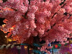 -乐园夜市场(五道口王庄路店)