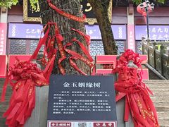 -超山青莲寺