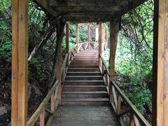 -大岭沟猕猴桃谷风景区