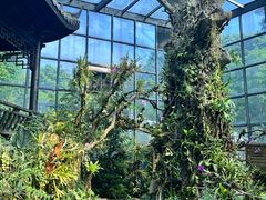 -东莞植物园