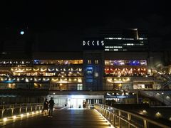 -台场海滨公园船码头