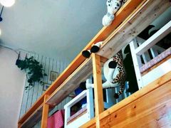 -长颈鹿咖啡(大学路店)