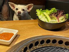 -黑牛黑猪烤肉专门店(万象城店)