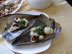 -海岛渔村大酒店(云霄路店)